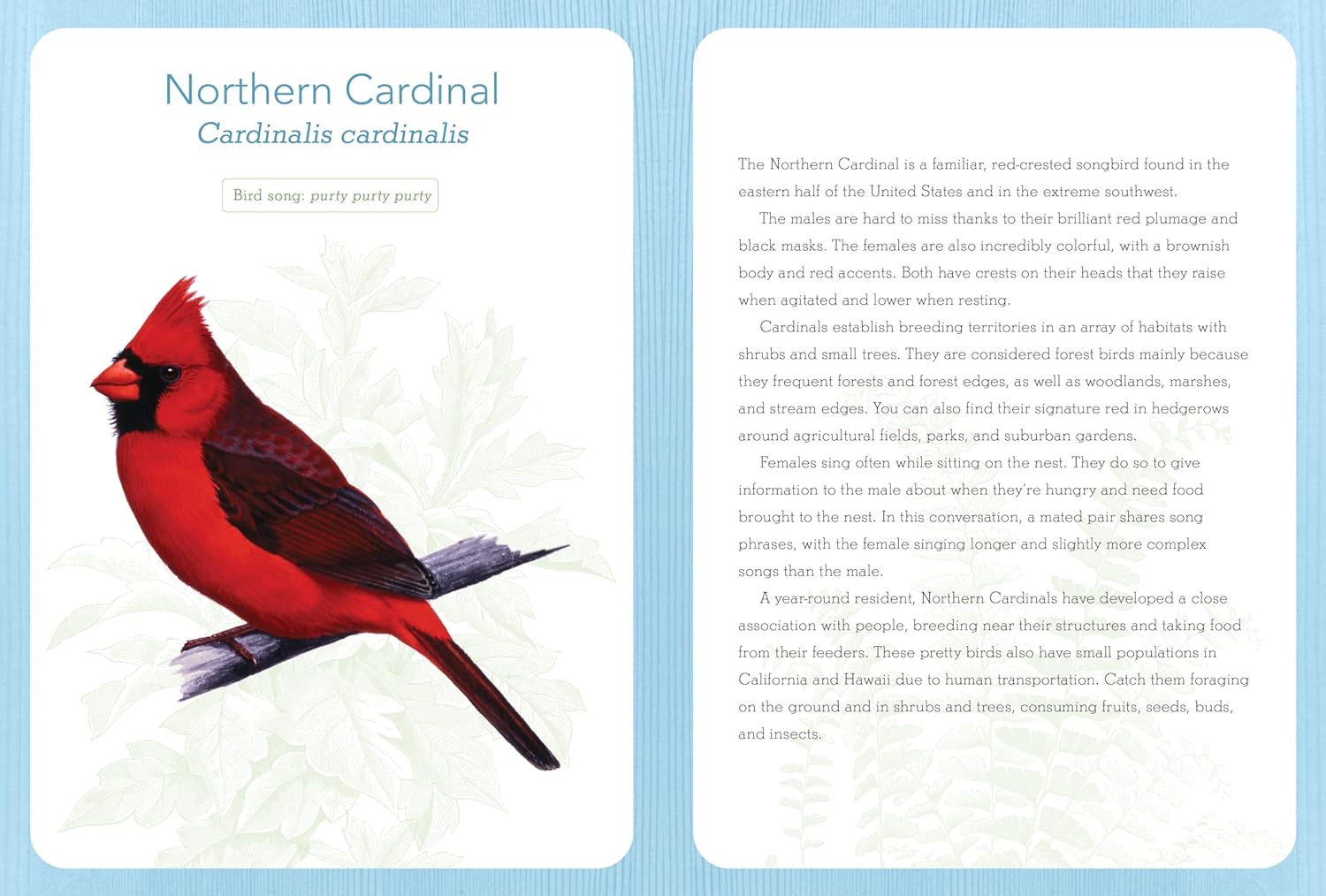 This North American bird-themed planner is practical for work, school, or your daily life. Throughout the planner is 18 months of facts on your favorite bird species. This planner contains illustrations as well as weekly notes with plenty of bird species. Comes in a convenient size. 240 pages Hardcover