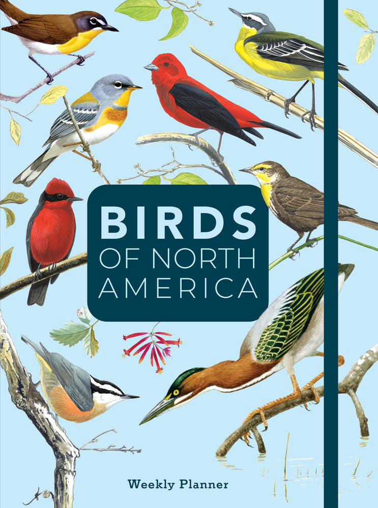 This North American bird-themed planner is practical for work, school, or your daily life. Throughout the planner is 18 months of facts on your favorite bird species. This planner contains illustrations as well as weekly notes with plenty of bird species. Comes in a convenient size. 240 pages Hardcover