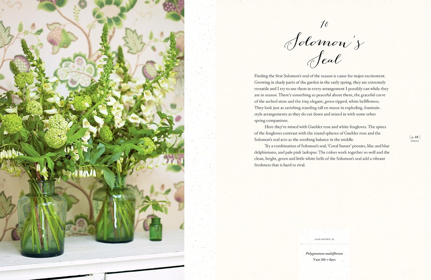 Flourish is an excellent guide with stunning photos to help you along your bouquet-making journey. Arranged by season, Flourish shows you how to create bouquets, but also wreaths, disco balls, and other floral hangings. Flourish will help transform your home with plenty of tips and tricks. 192 pages Hardcover