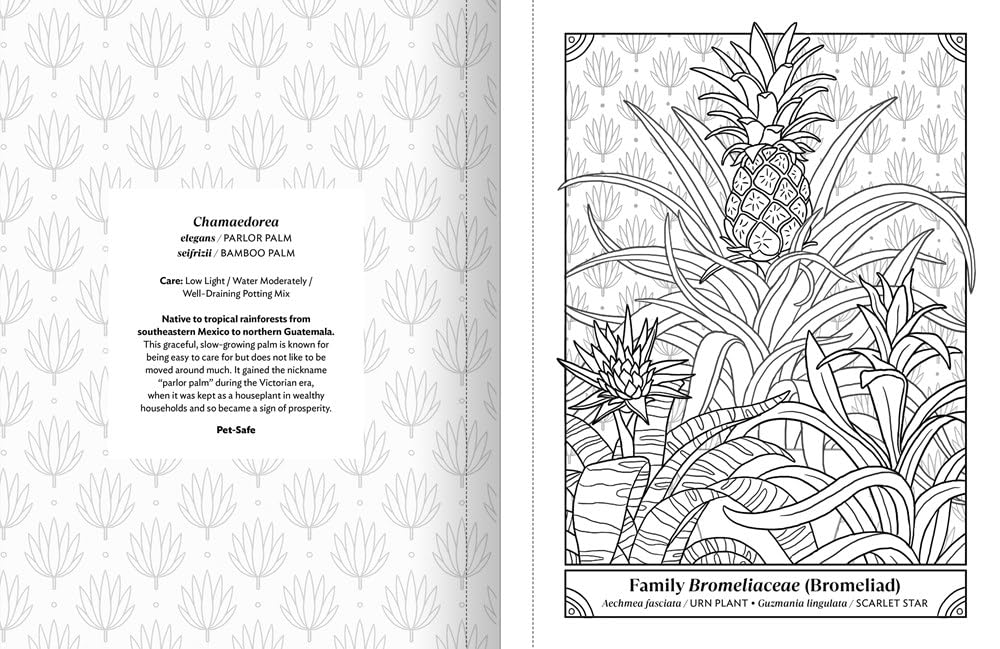 This coloring book is a journey into the world of houseplants. This coloring book features houseplants in home settings, ready to be colored in and personalized. The book has plant illustrations as well as plant care tips. Color with whatever medium you prefer - crayons, pencils, or markers.  112 pages Softcover