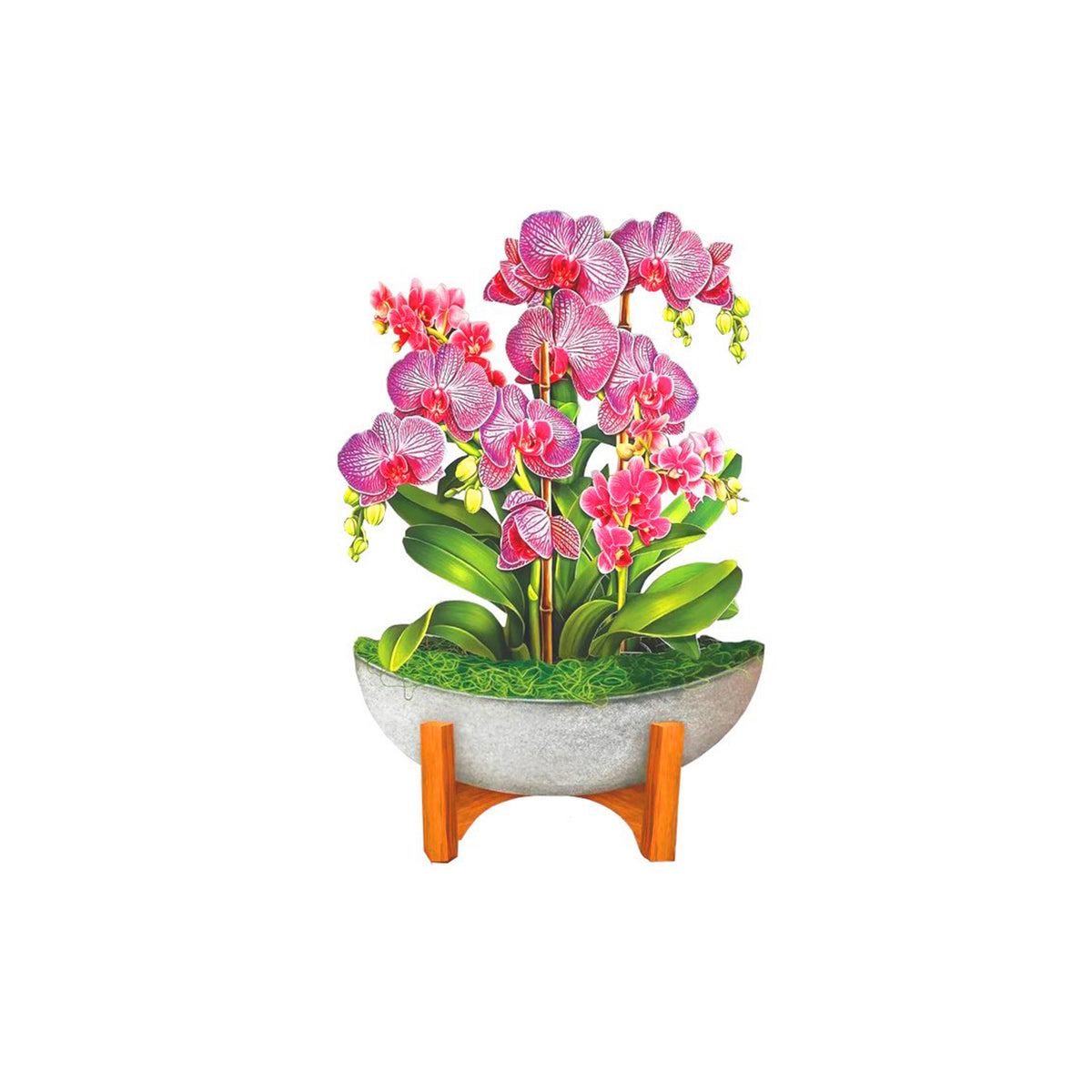 ORCHID OASIS MINI POP-UP BOUQUET