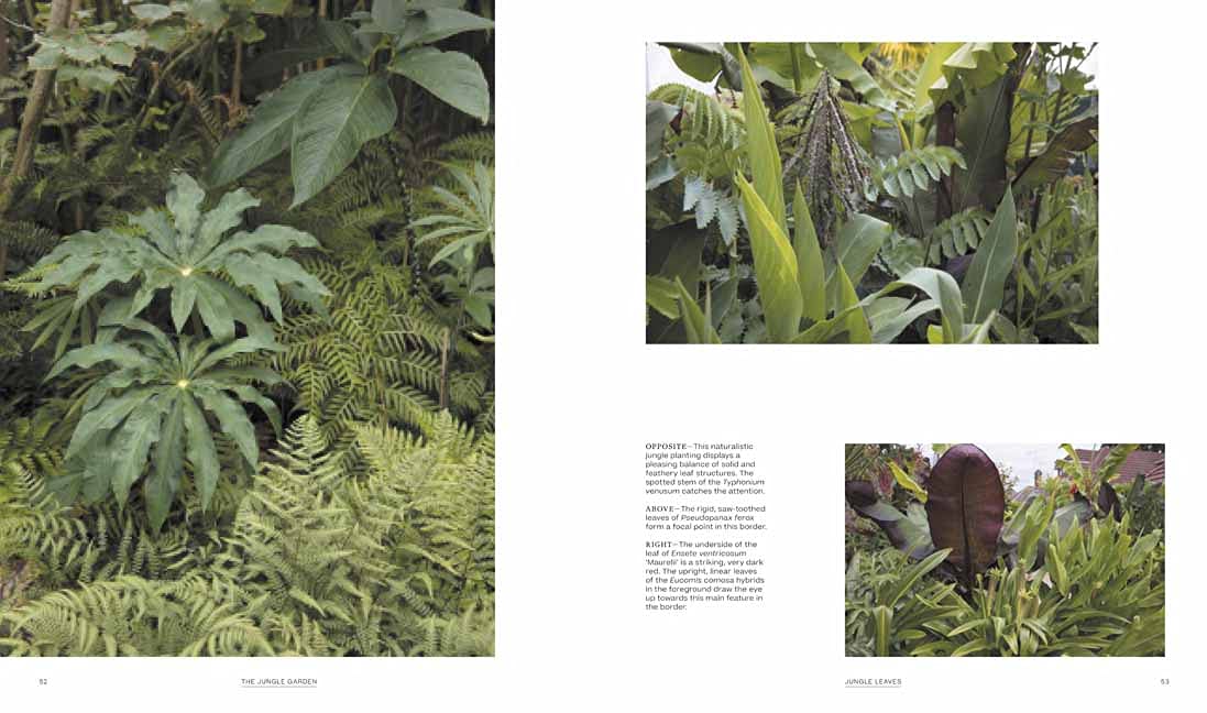 THE JUNGLE GARDEN