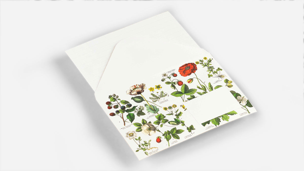 SET OF 20 BOTANICAL ENVELOPES