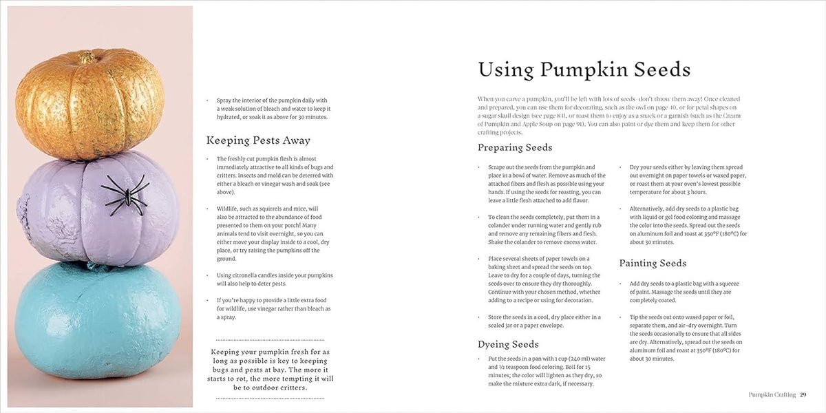 PUMPKIN CRAFTING