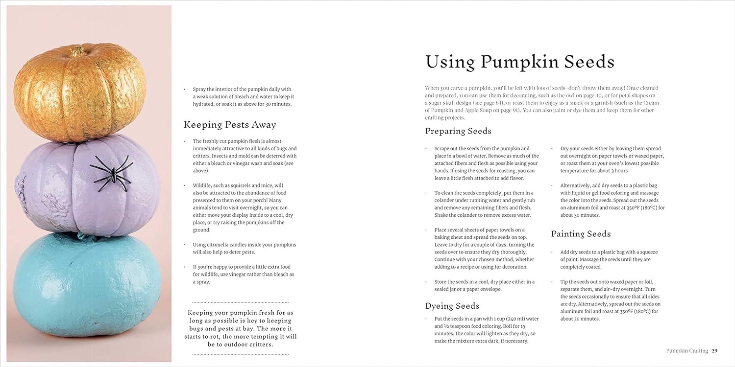 Take your pumpkins and jack o'lanterns to the next level with this Halloween guide. Pumpkin Crafting will help you to keep your pumpkins traditional and spooky, or take them further with flowerpots, tea light holders, and vases. The book also includes pumpkin-based recipes. Paperback 128 pages