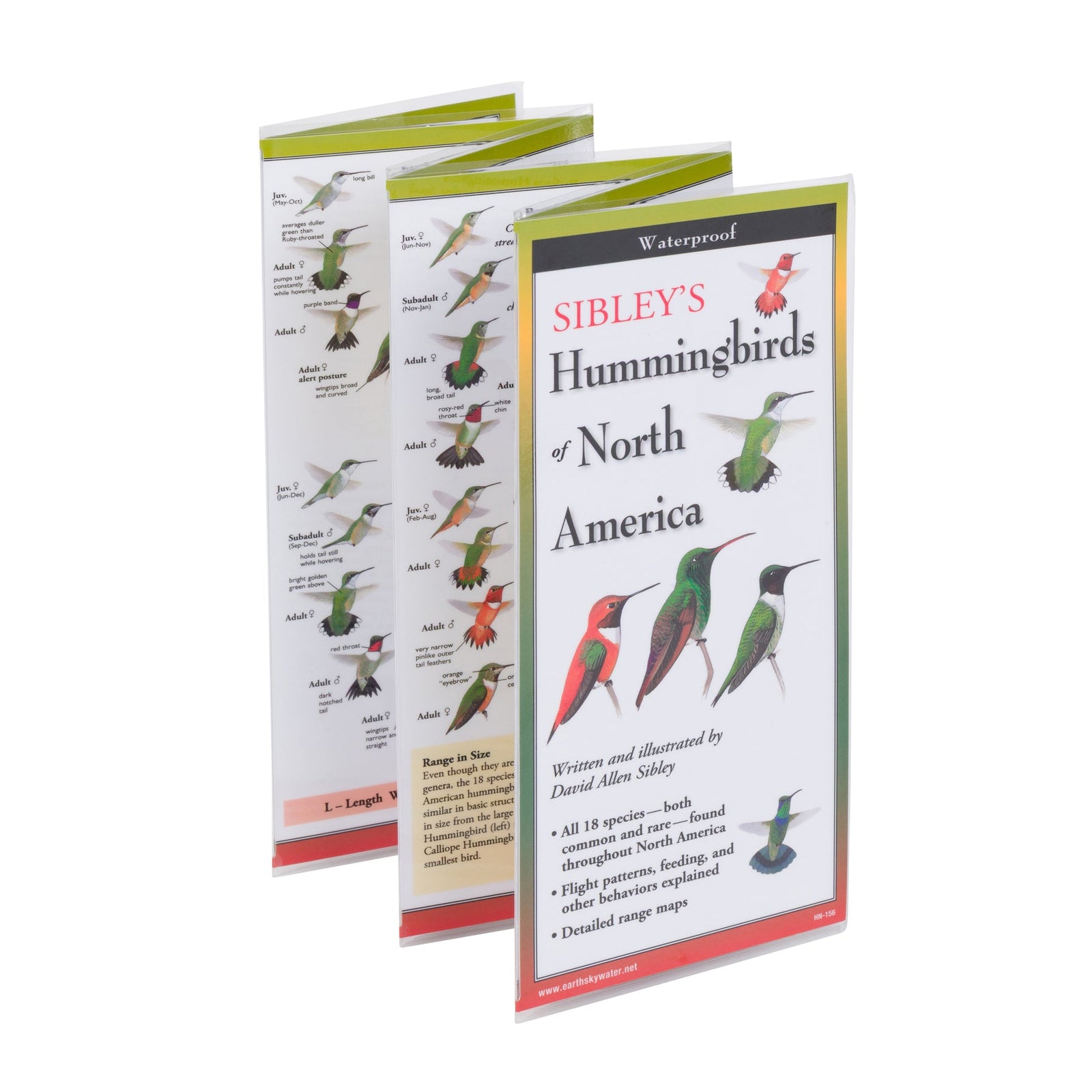 Book cover of 'Sibley's Hummingbirds of North America' with illustrations of hummingbirds on a white background.
