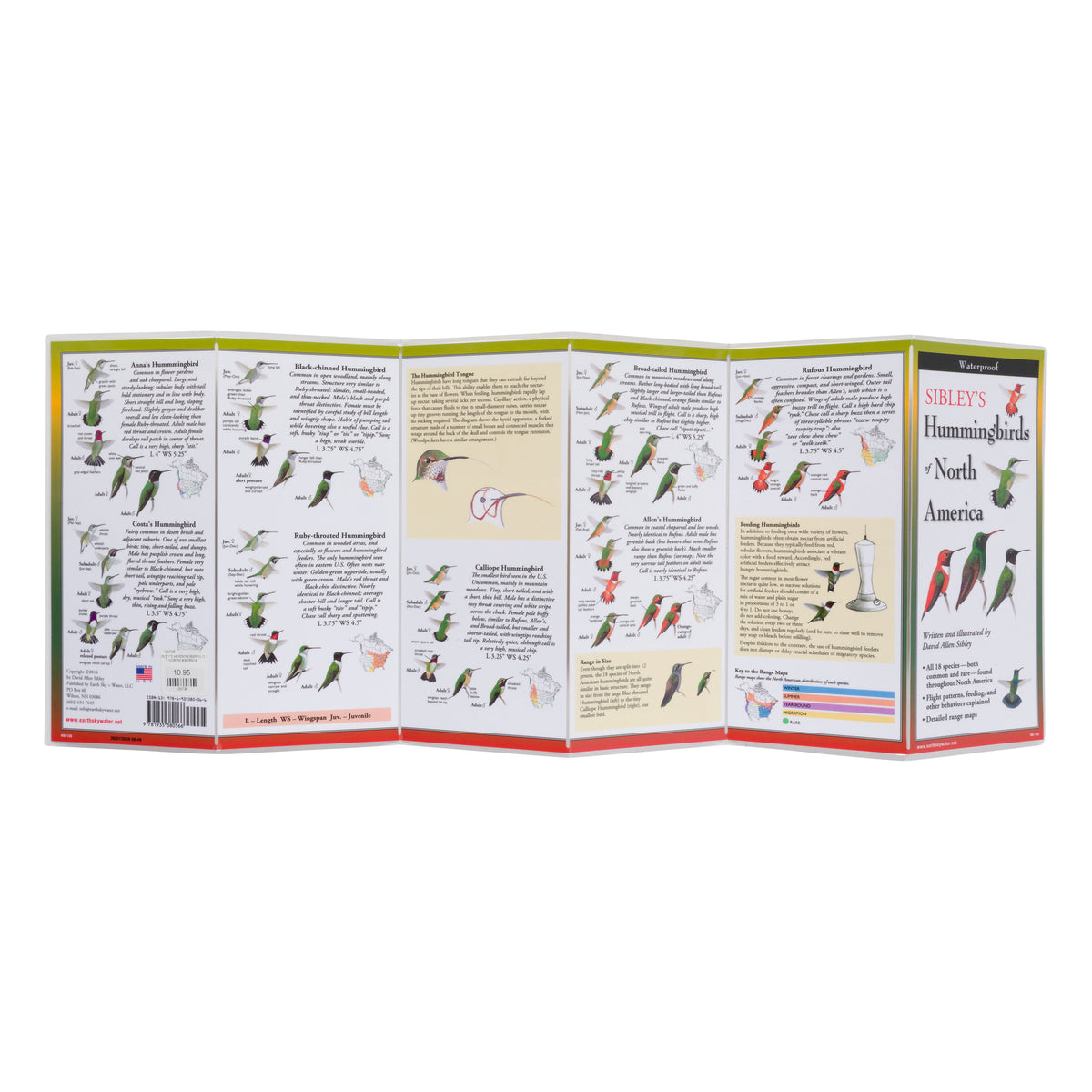 HUMMINGBIRDS OF NORTH AMERICA FIELD GUIDE