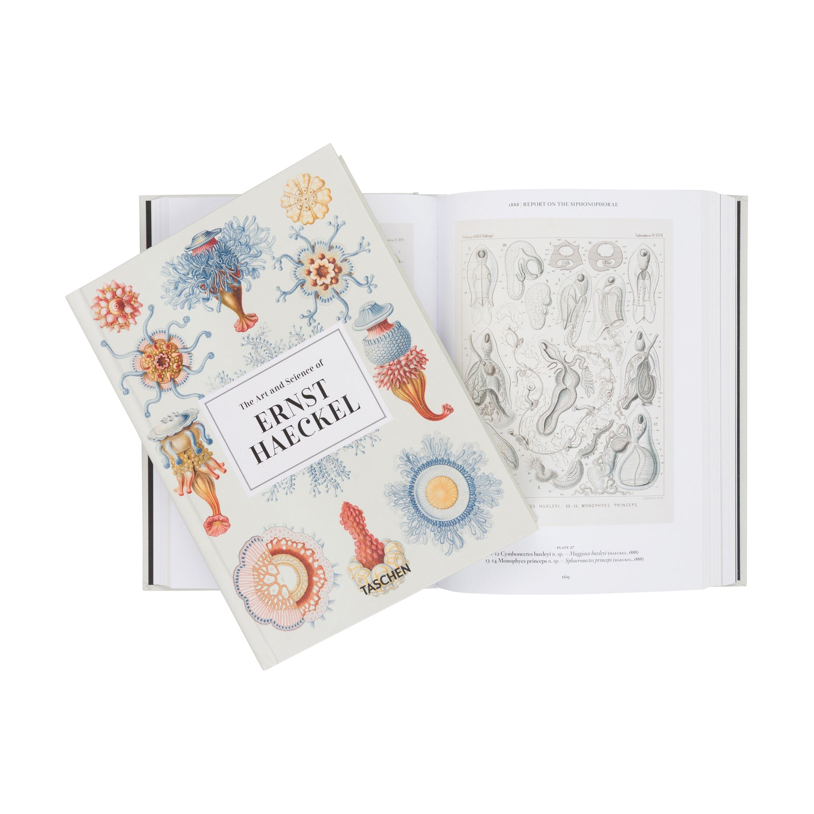 The Art and Science of Ernst Haeckel book by Taschen, featuring vintage scientific illustrations of marine life on an off-white cover, shown at a three-quarter angle on a white background.