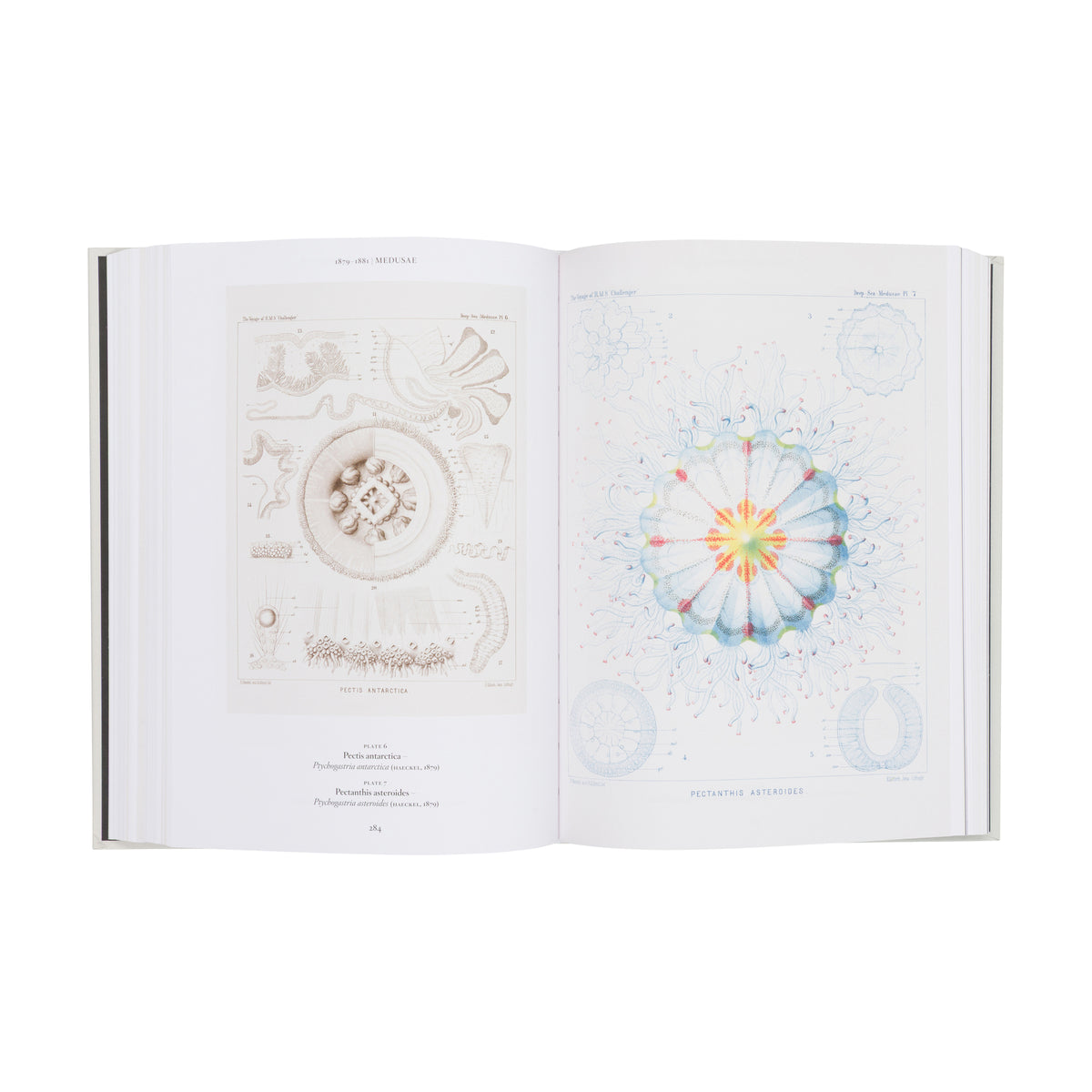 ART & SCIENCE OF ERNST HAECKEL