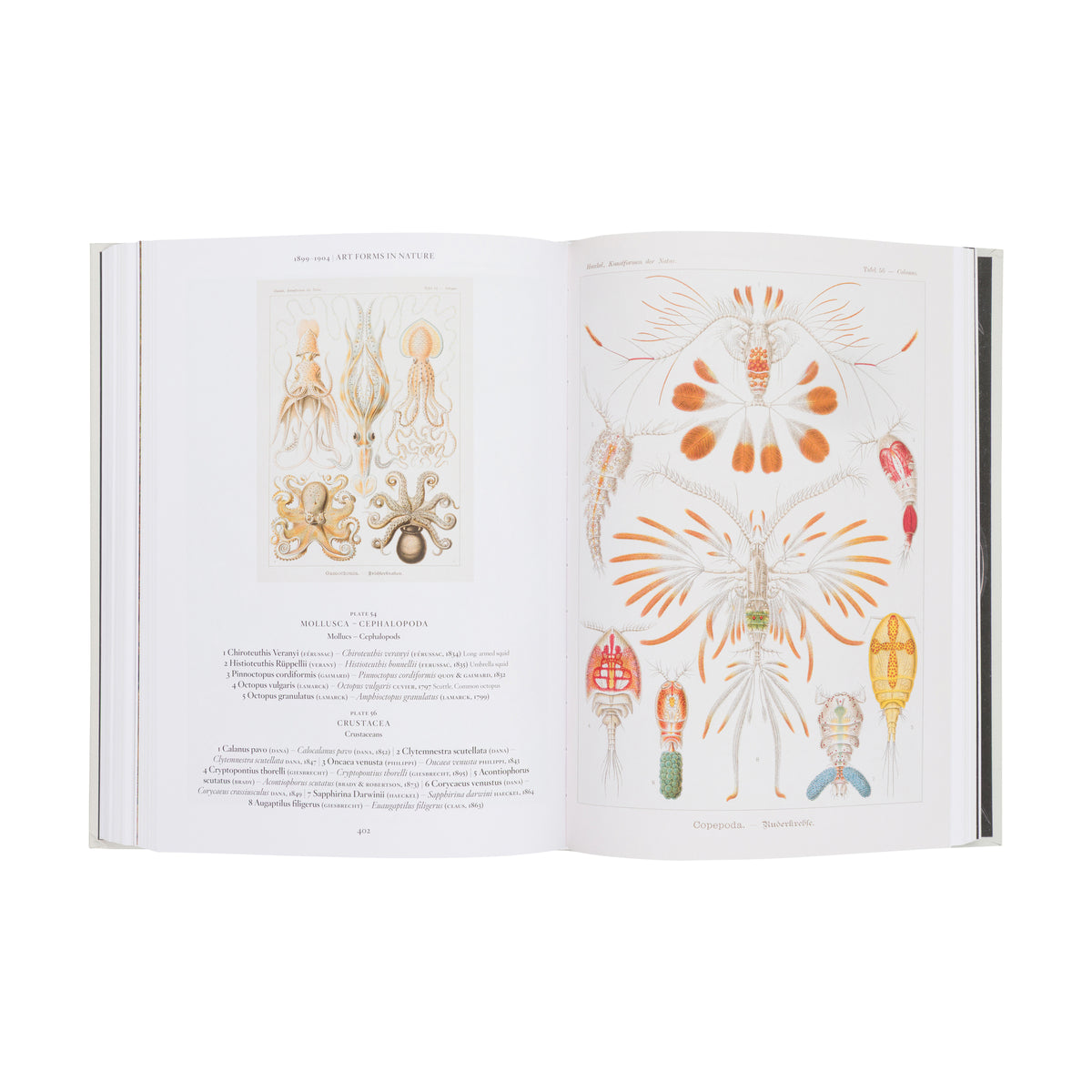 ART & SCIENCE OF ERNST HAECKEL