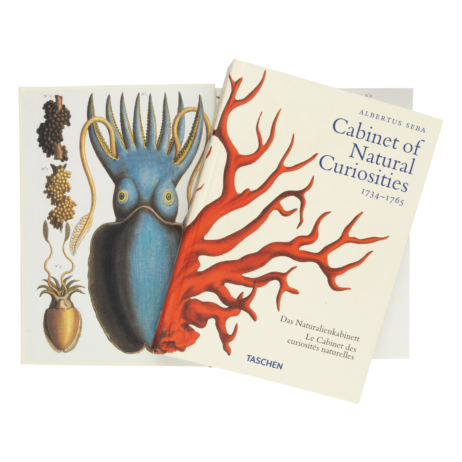 Book cover of 'Cabinet of Natural Curiosities' by Albertus Seba with red coral illustration on beige background