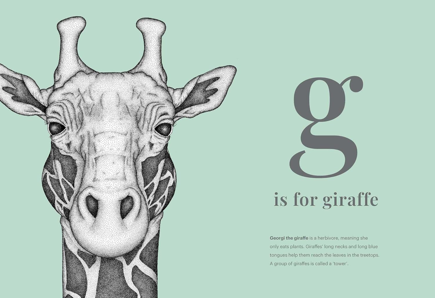 This children's book takes little ones through the alphabet, and will help them learn about animals! The illustrations are in black and white, and all drawn in dots. From A to Z, your kid will learn about alpacas all the way through to zebras. Recommended age: 1+ Dimensions: 9.8" x 0.6" x 13.35" Hardcover 56 pages