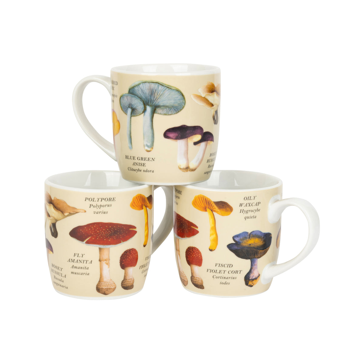 Three ceramic mugs stacked in a pyramid arrangement, decorated with vintage-style botanical illustrations of various mushrooms on a cream-colored background.