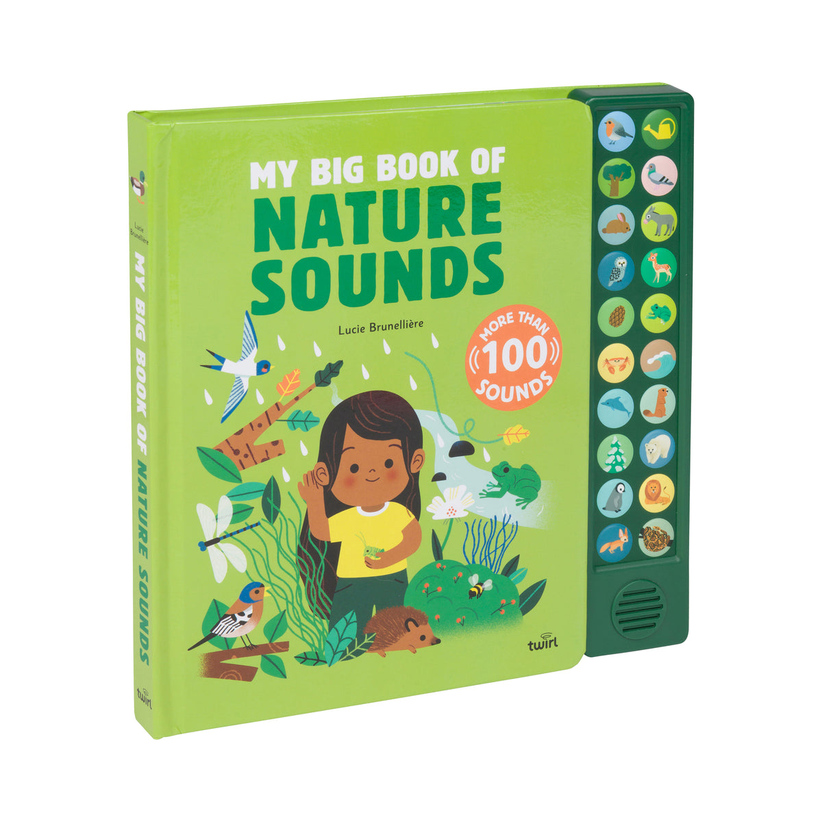 Book titled 'My Big Book of Nature Sounds' with illustrations and sound buttons on a green background