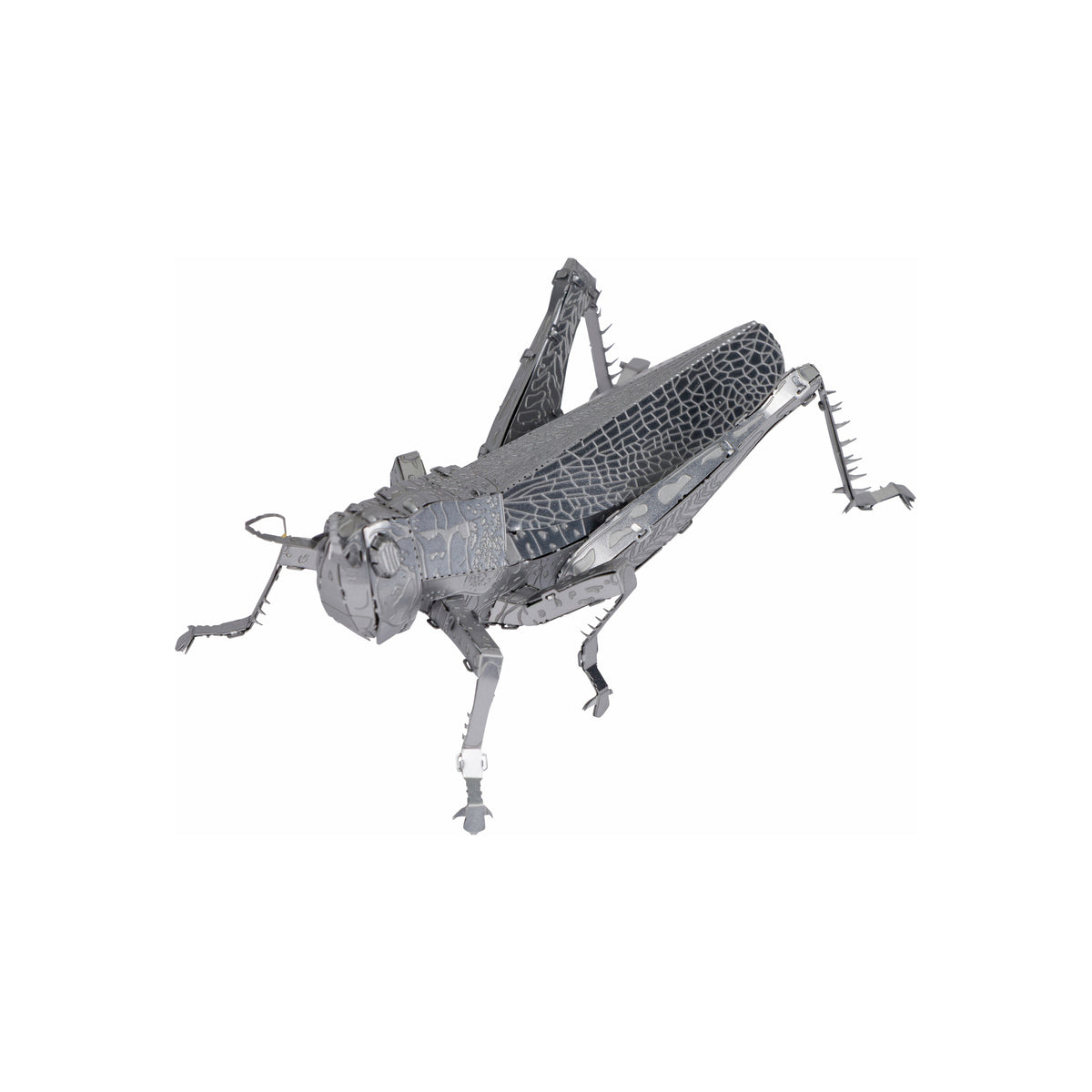 3D MODEL METAL GRASSHOPPER