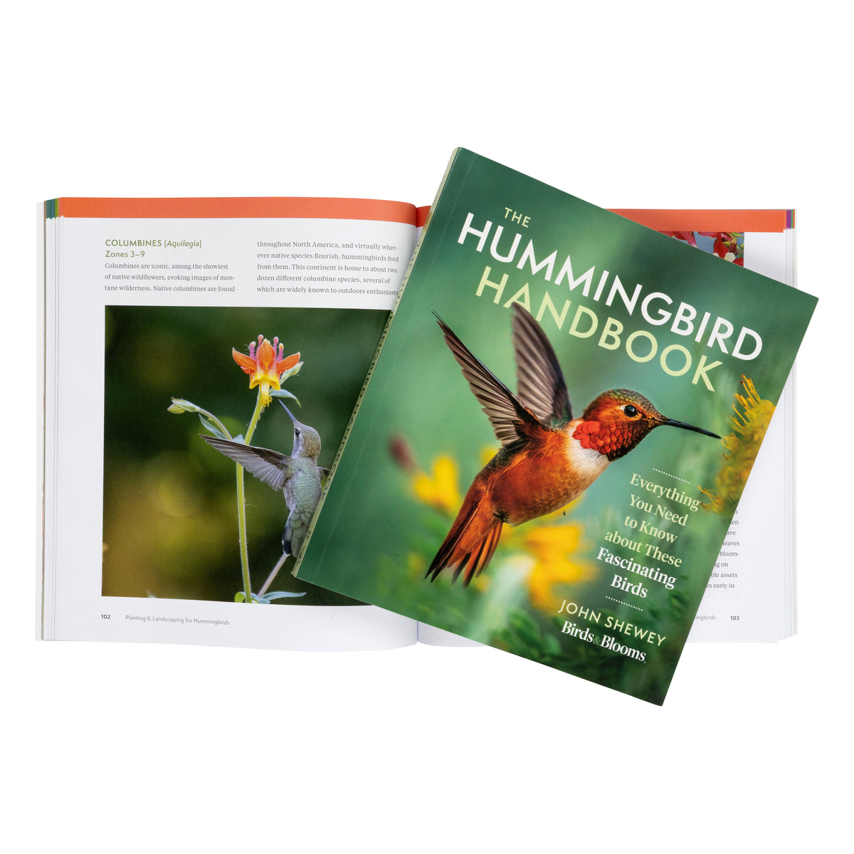 Book cover of 'The Hummingbird Handbook' with a hummingbird on a green background