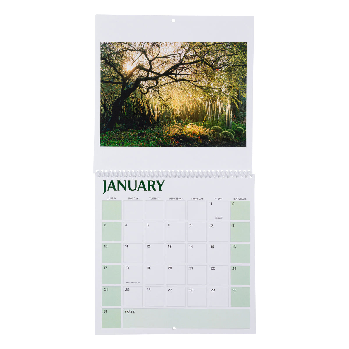 A YEAR IN THE GARDENS 2027 CALENDAR