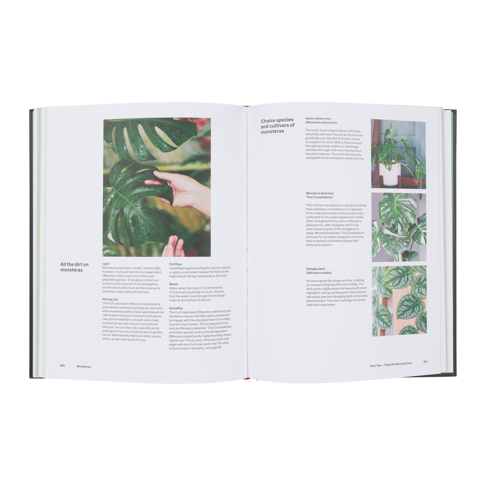 The Plant Book by Tammy Huynh, featuring a black cover with colorful illustrated leaves and bold orange title text.