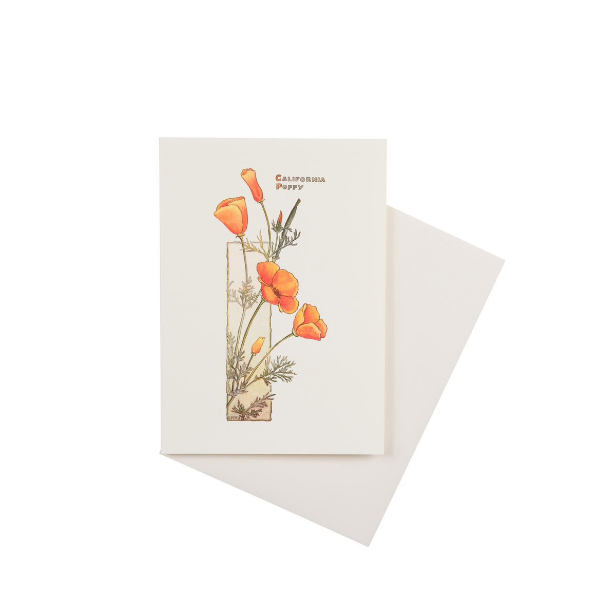 Notecard with California poppy design on a white background