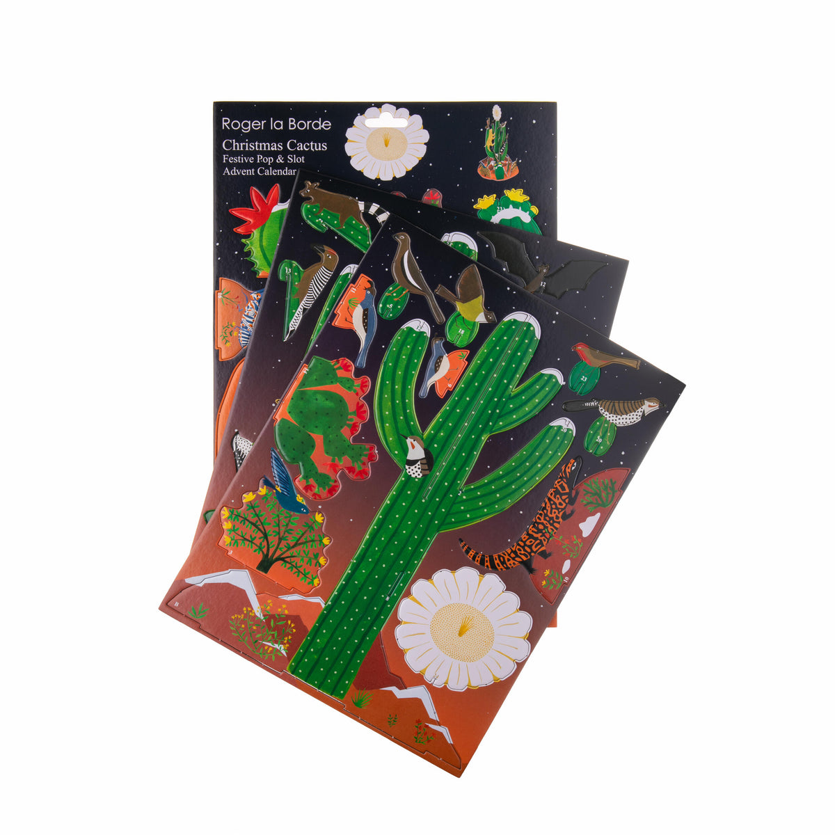 CHRISTMAS CACTUS ADVENT CALENDAR