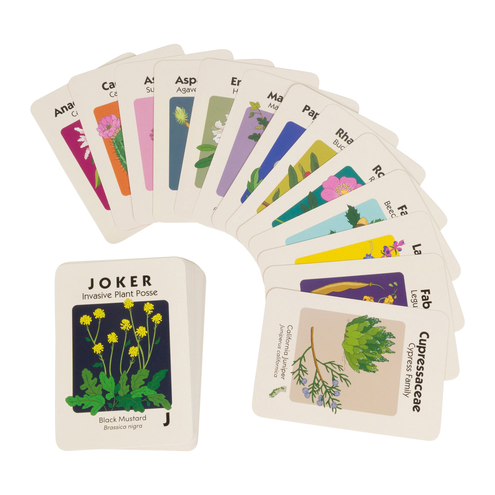 Card deck with floral design and 'GO NATIVE' text on a beige background