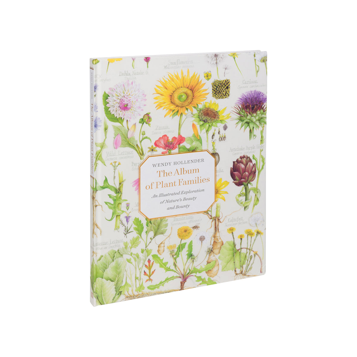 Book titled 'The Album of Plant Families' with floral design on cover