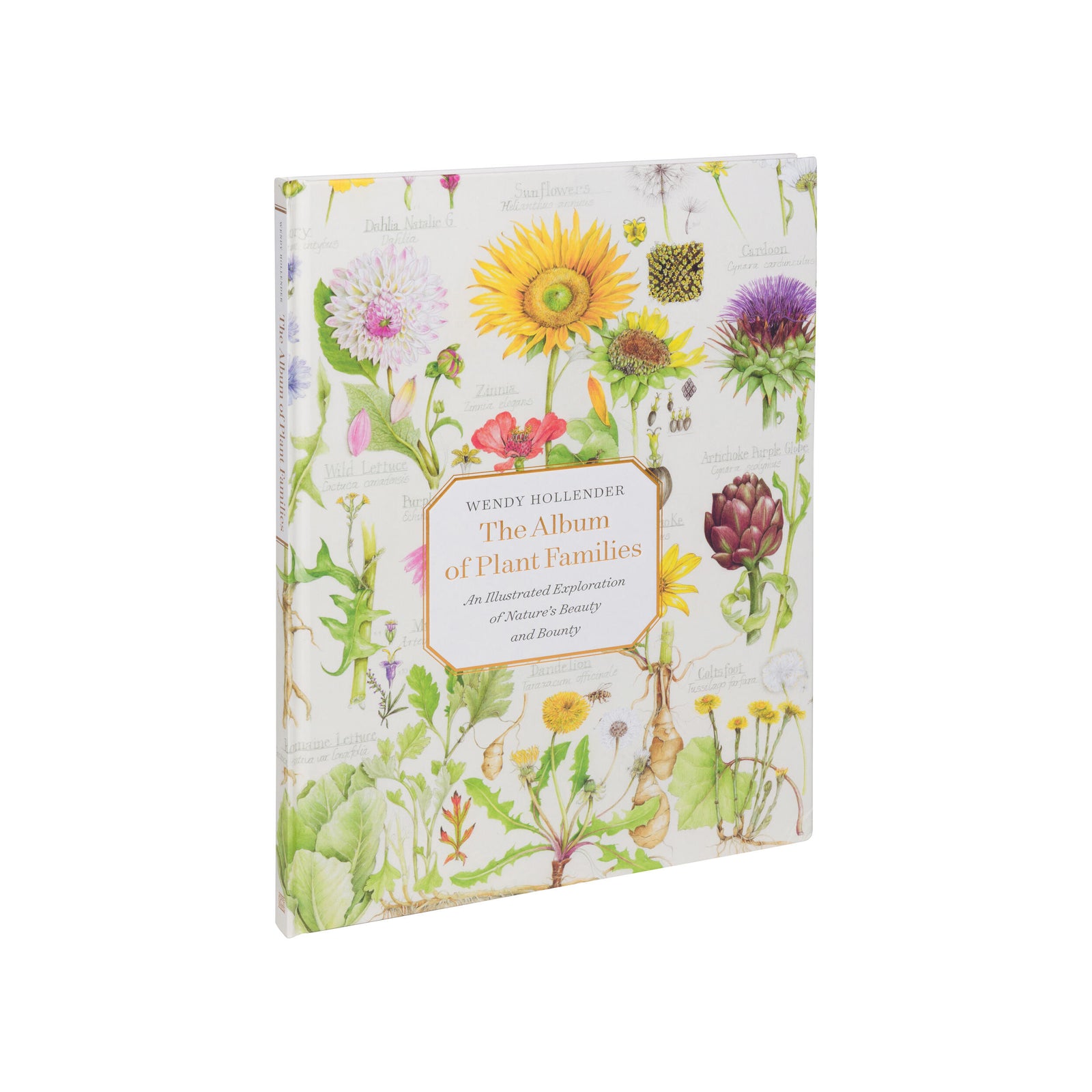 Book titled 'The Album of Plant Families' with floral design on cover