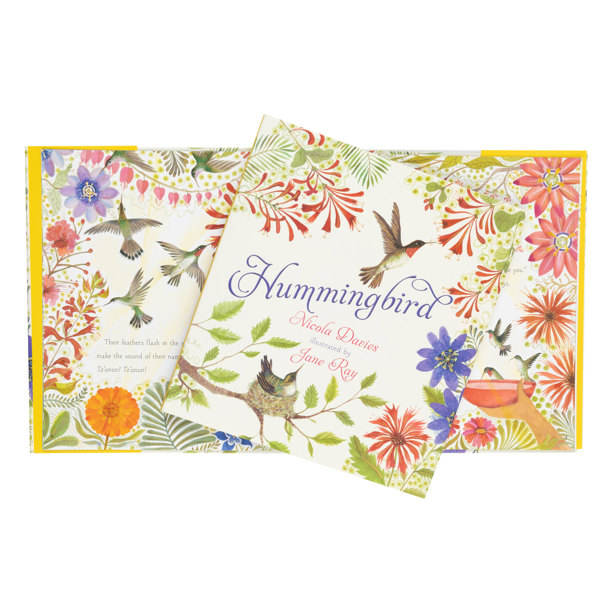 Book cover of 'Hummingbird' with illustrations of hummingbirds and flowers on a white background