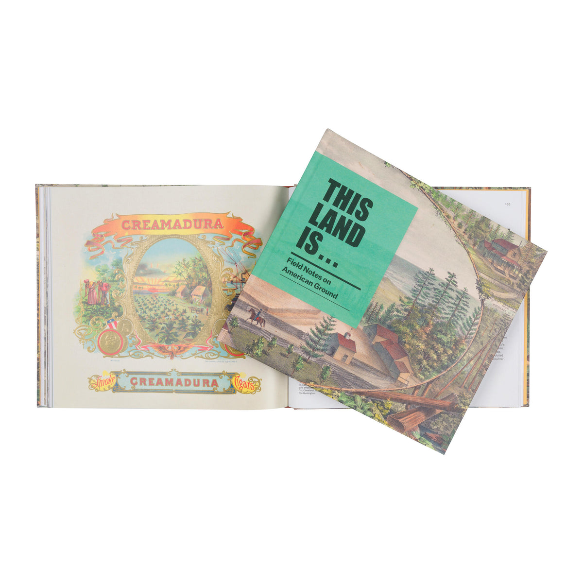 THIS LAND IS...FIELD NOTES ON AMERICAN GROUND