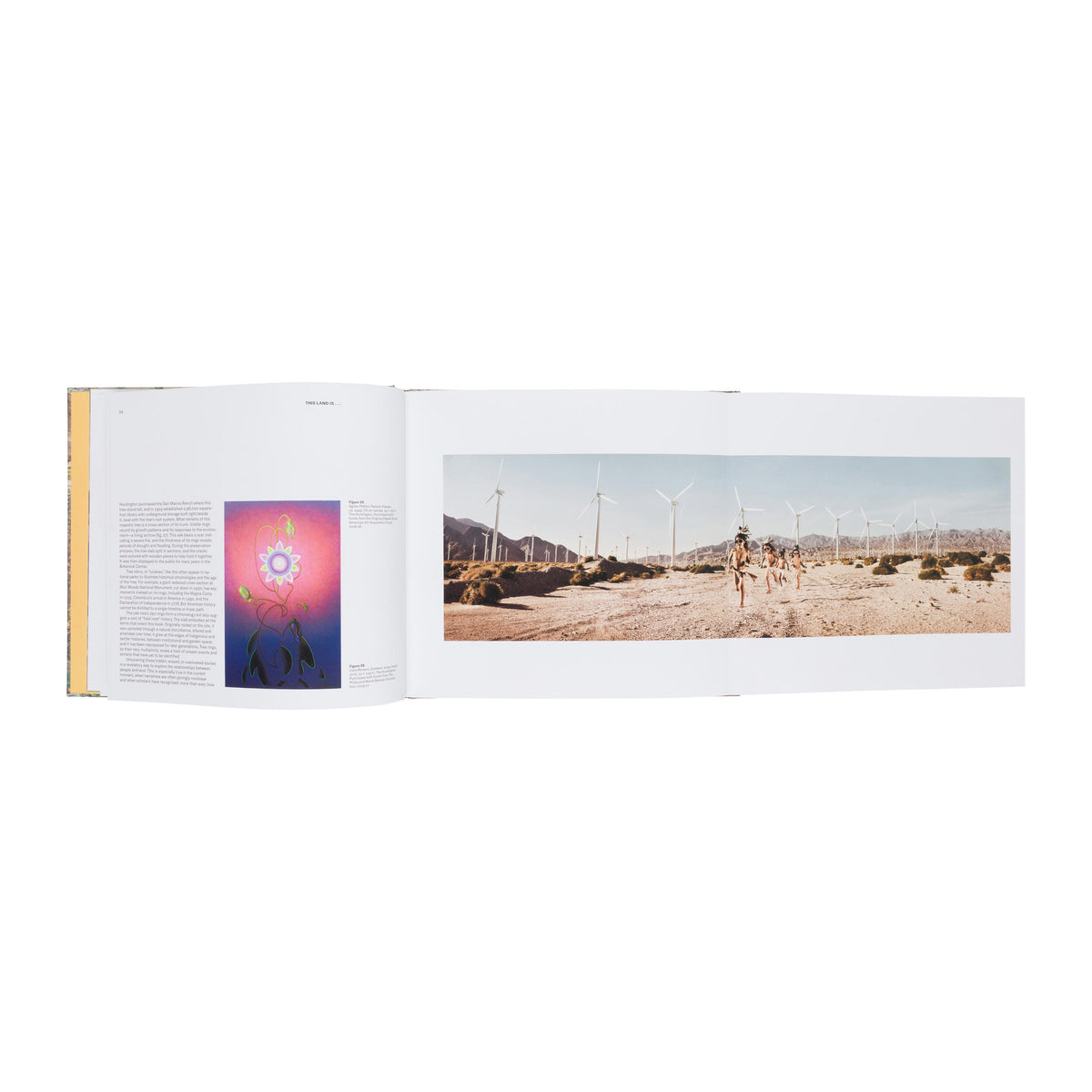 THIS LAND IS...FIELD NOTES ON AMERICAN GROUND