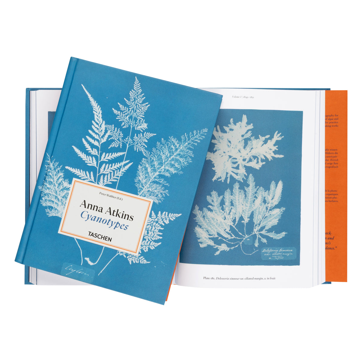 A cyanotype book titled 'Anna Atkins Cyanotypes' by Taschen, featuring a blue cover with white fern illustrations and an open view showing printed cyanotype pages with white plant prints on blue paper.