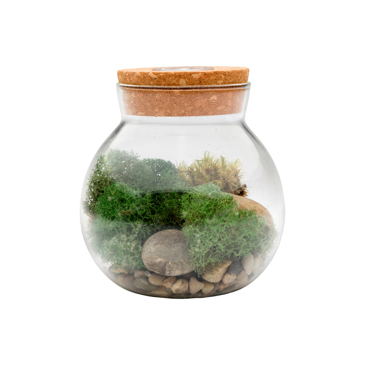 MOSSBOWL TERRARIUM
