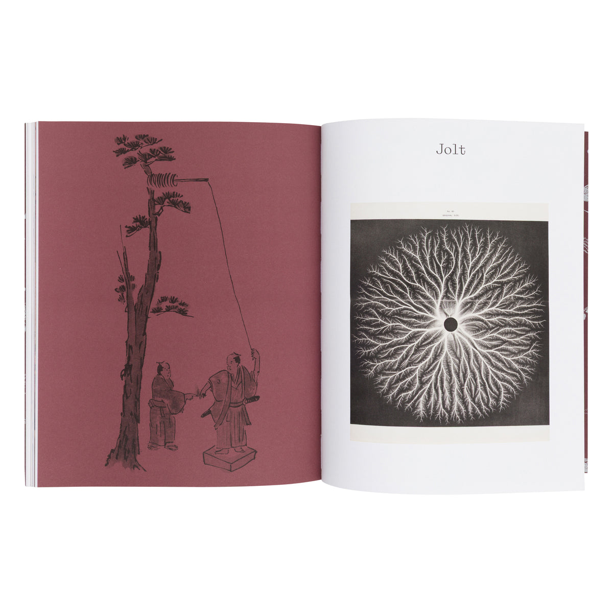 WORLDS UNFOLDING: SCIENCE ON THE PAGE