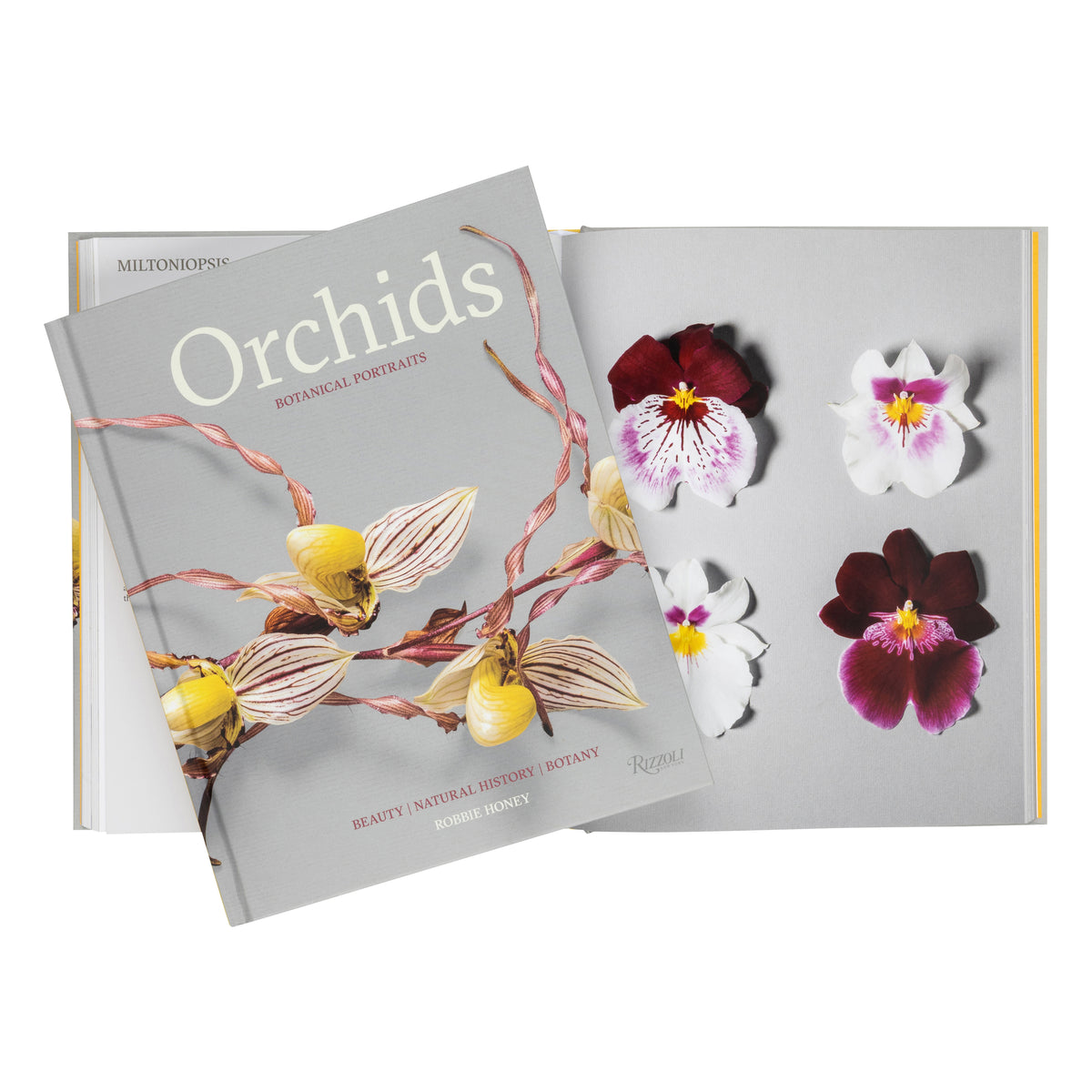 A botanical footprints book titled 'Orchids' by Sophie Mundy, featuring a gray cover with orchid illustrations and several pressed orchid flowers displayed on the right against a white background.