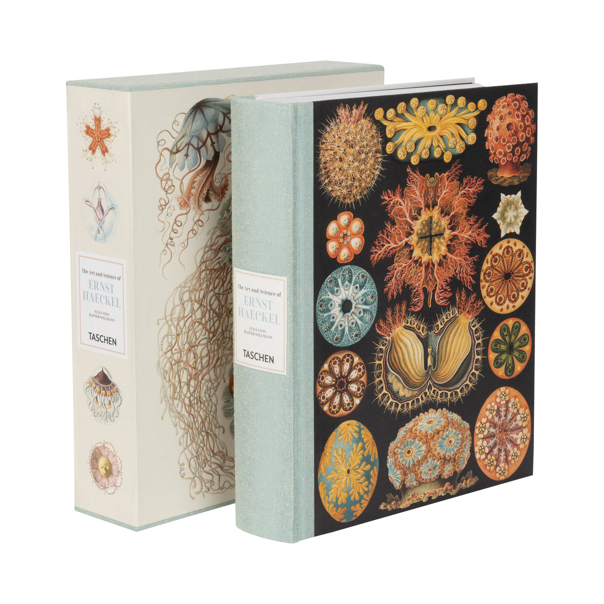 A hardcover art book by Jens Rasmussen titled 'The Art of Marine Life' published by Taschen, shown with its illustrated dust jacket and matching slipcase on a clean white background.