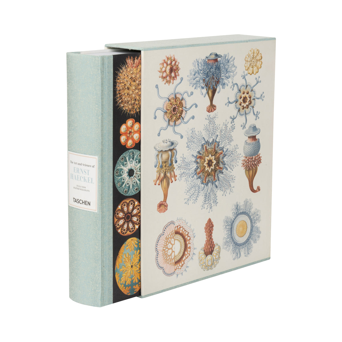 THE ART AND SCIENCE OF ERNST HAECKEL