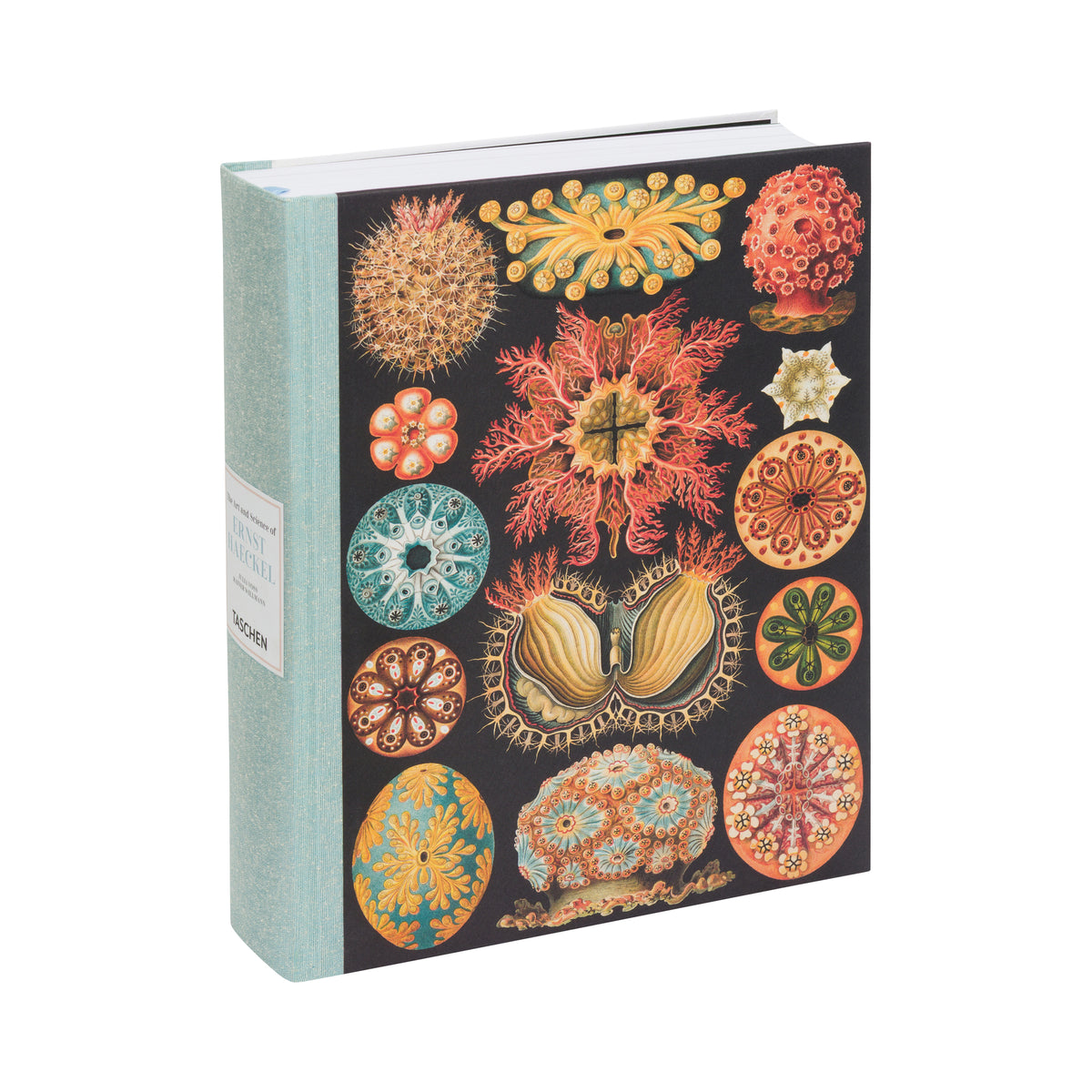 THE ART AND SCIENCE OF ERNST HAECKEL