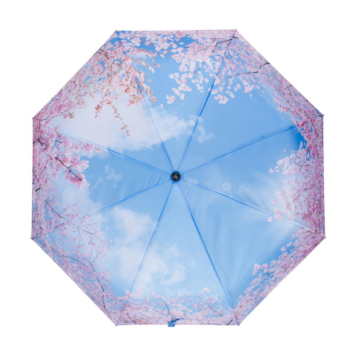 An open octagonal umbrella viewed from above, featuring a printed design of a bright blue sky with white clouds and pink cherry blossom branches.
