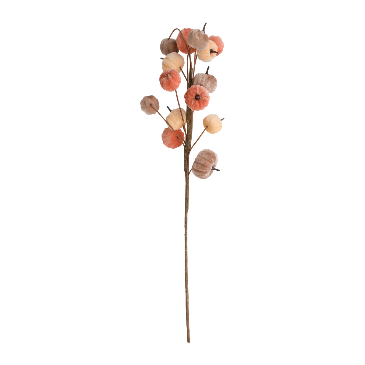 An artificial plant stem featuring miniature velvet pumpkins in orange, taupe and cream on a white background