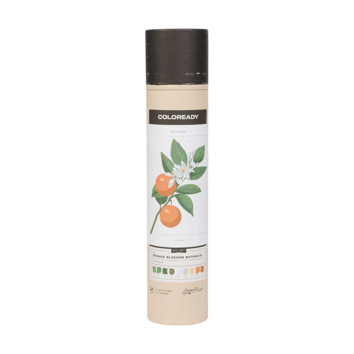 ORANGE BLOSSOM PAINT-BY-NUMBERS KIT