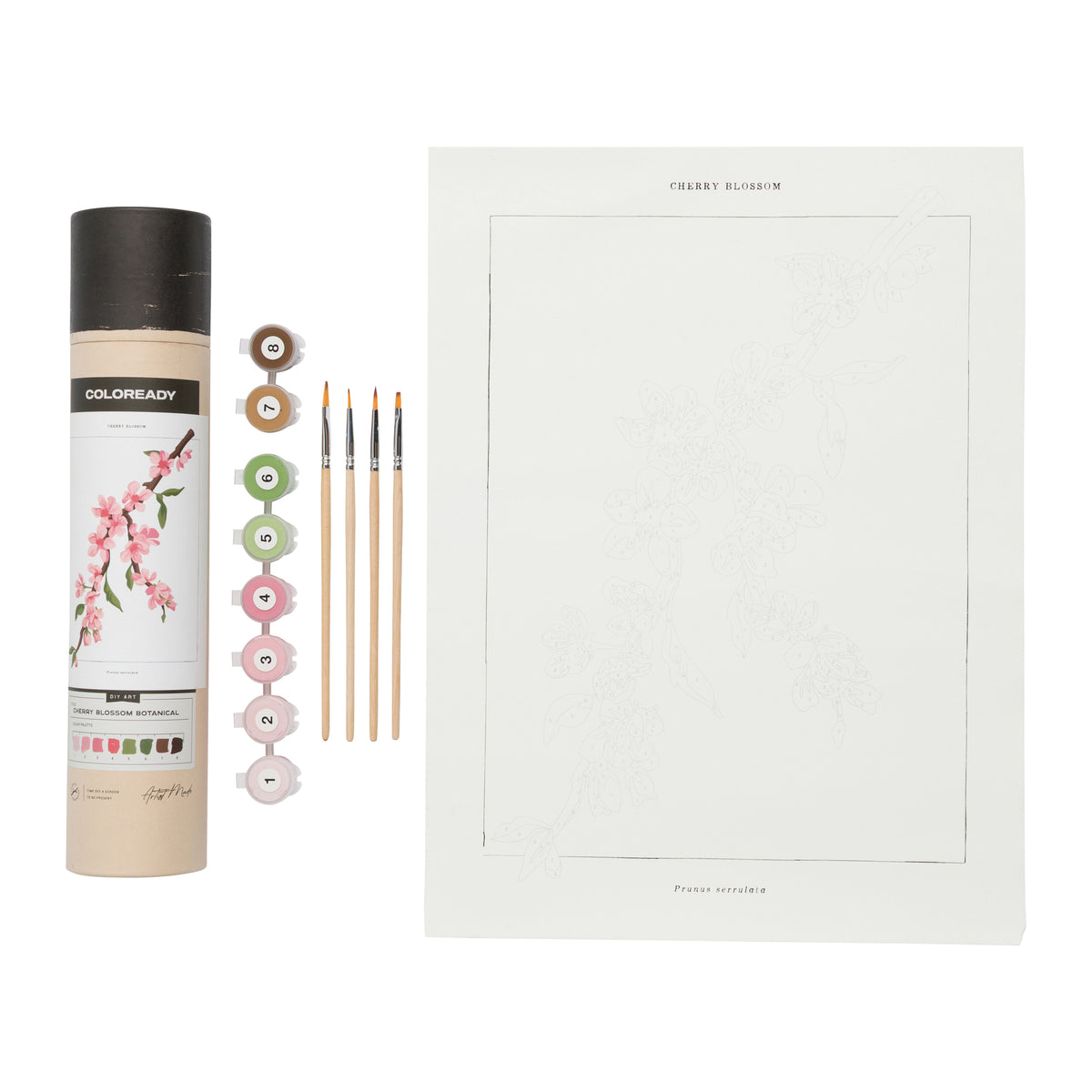 A floral art coloring kit on a white background, including a can of ColorLady floral pigment paint, a paintbrush, color chips, printed coloring pages, and an instruction booklet.