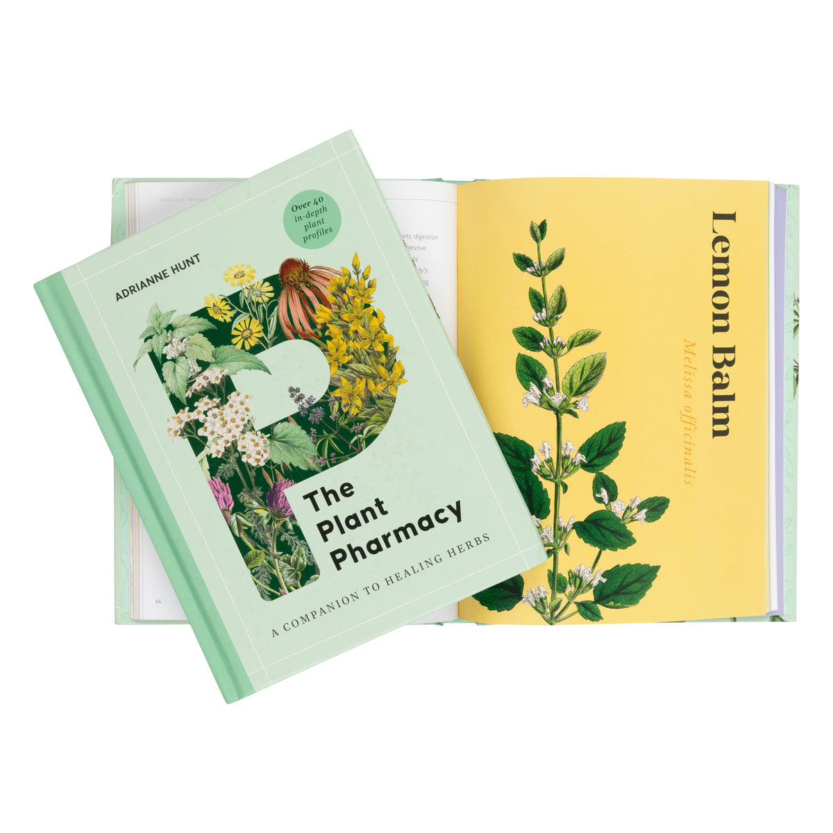 Two botanical books displayed on a white background: 'The Plant Pharmacy' by Adrienne Hunt in the foreground with a mint green cover, and 'Lemon Balm' by Melissa Wolff behind it with a pale yellow cover and a botanical illustration.
