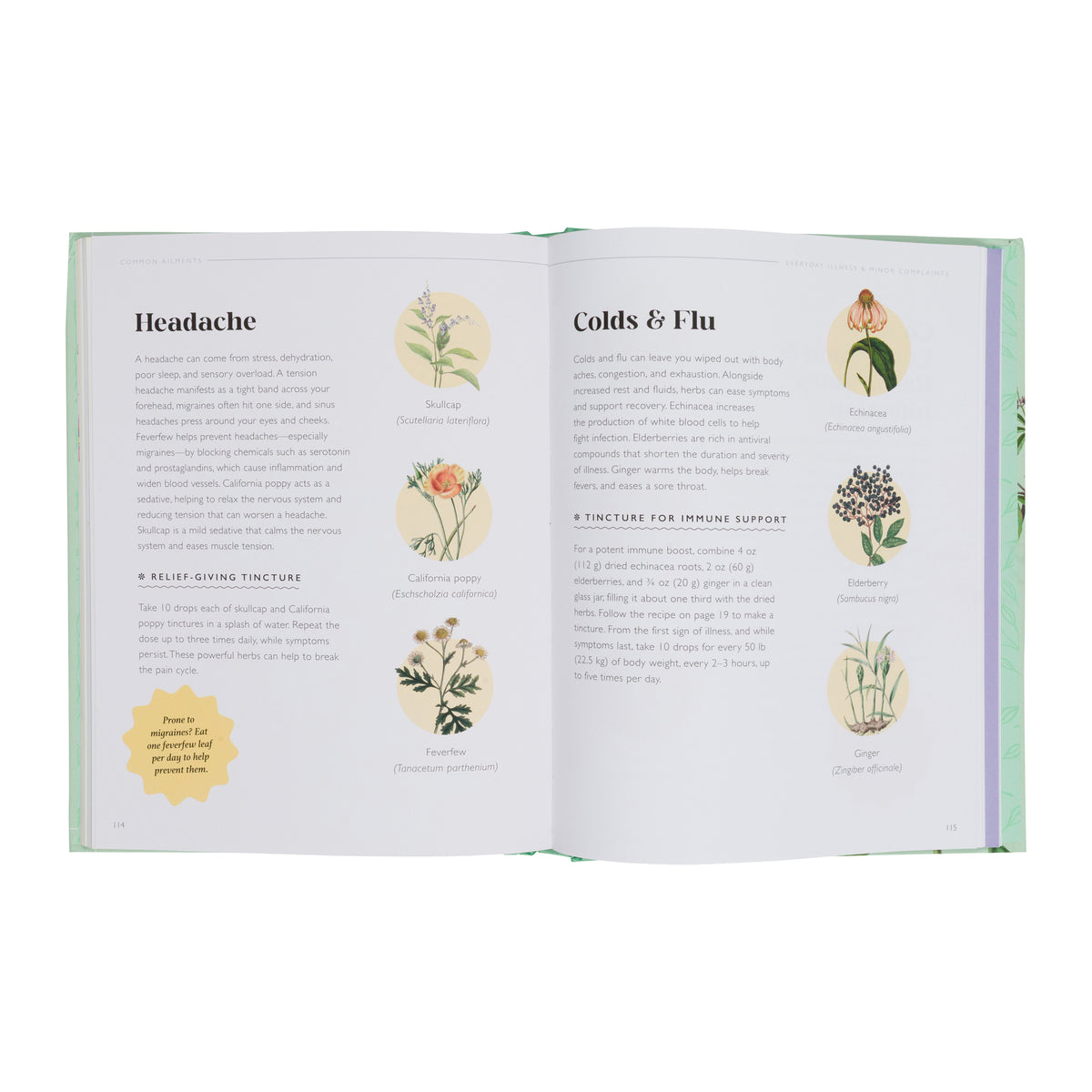 THE PLANT PHARMACY