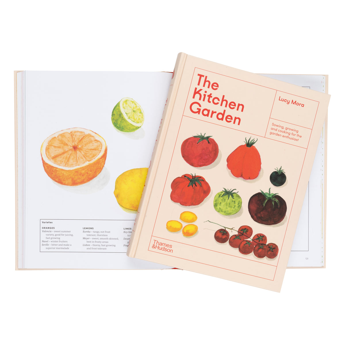 THE KITCHEN GARDEN