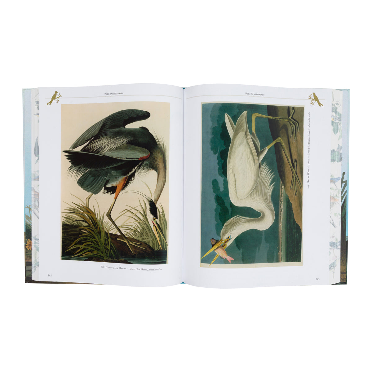AUDUBON'S BIRDS OF AMERICA