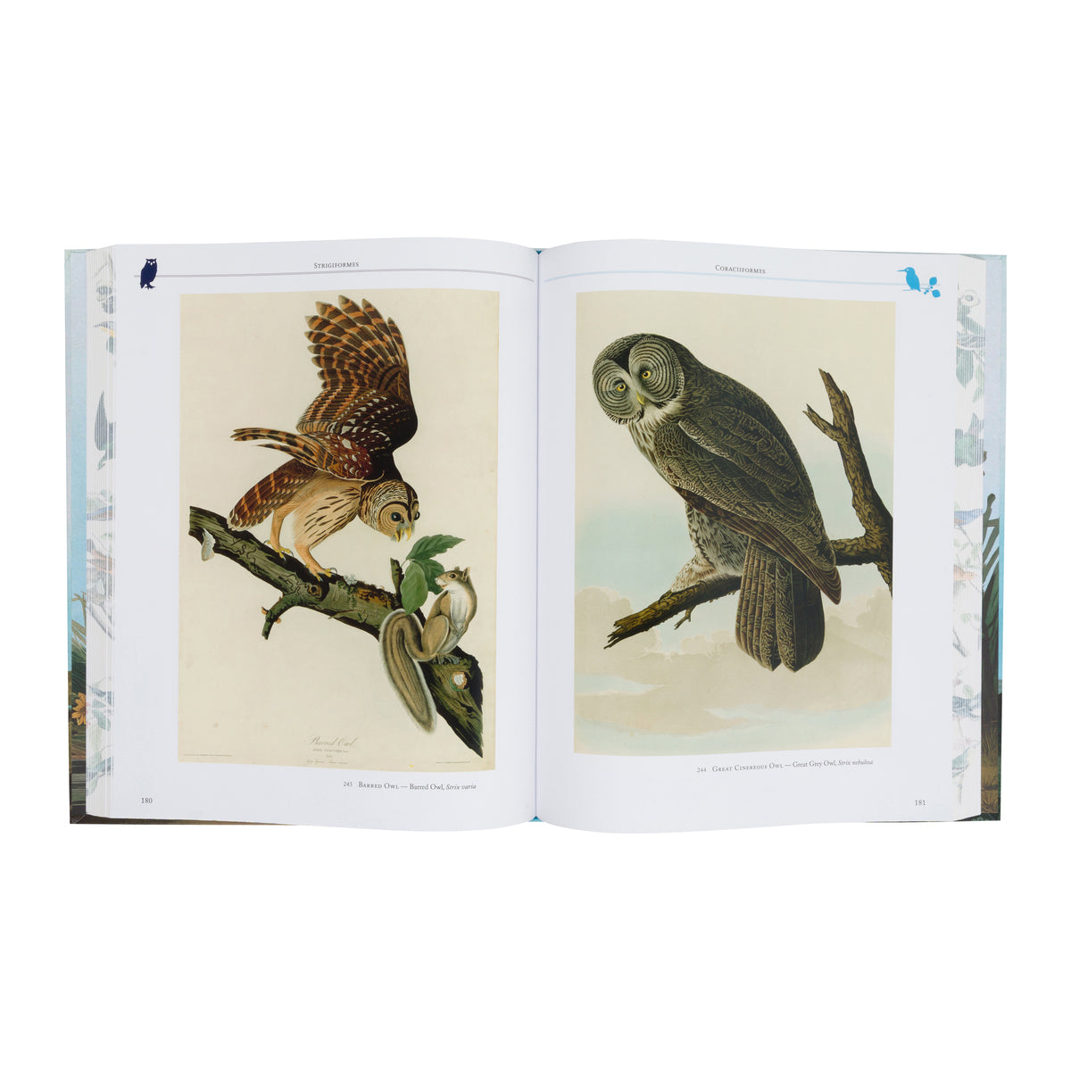AUDUBON'S BIRDS OF AMERICA