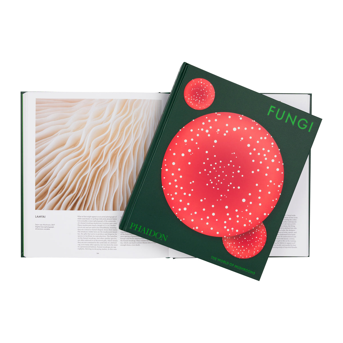 The book cover of 'Fungi: The Story of Fungiomyces' by Phaidon, featuring a dark forest green background with a large red circular spore print design and smaller red circular spore print illustrations.