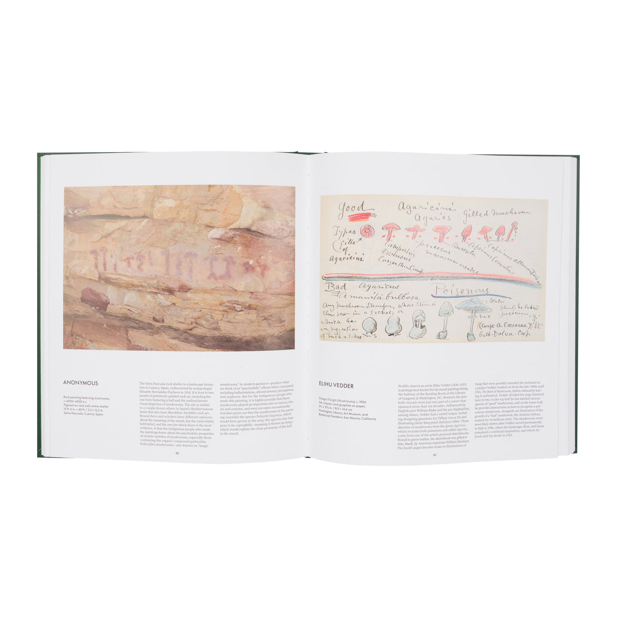 FUNGI: THE WORLD OF MUSHROOMS