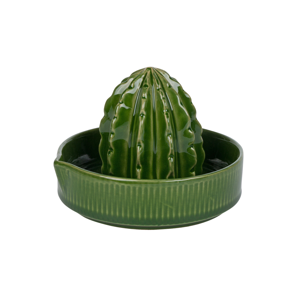 CACTUS JUICER