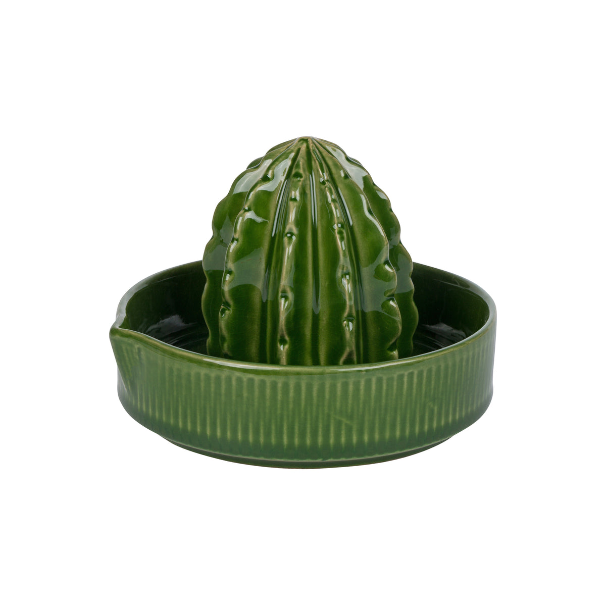 CACTUS JUICER